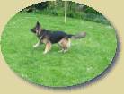 Lady- ja wo ist denn der Ball * 448 x 336 * (64KB)